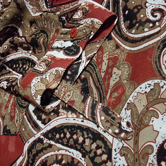 Brody Miles Paisley Print Semi-Sheer Tunic Blouse - Picture 5 of 10